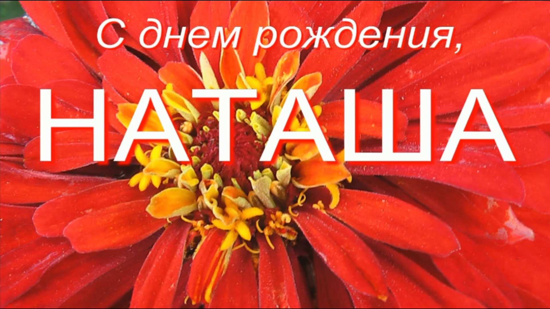 НАТАША, С ДНЕМ РОЖДЕНИЯ смотреть онлайн