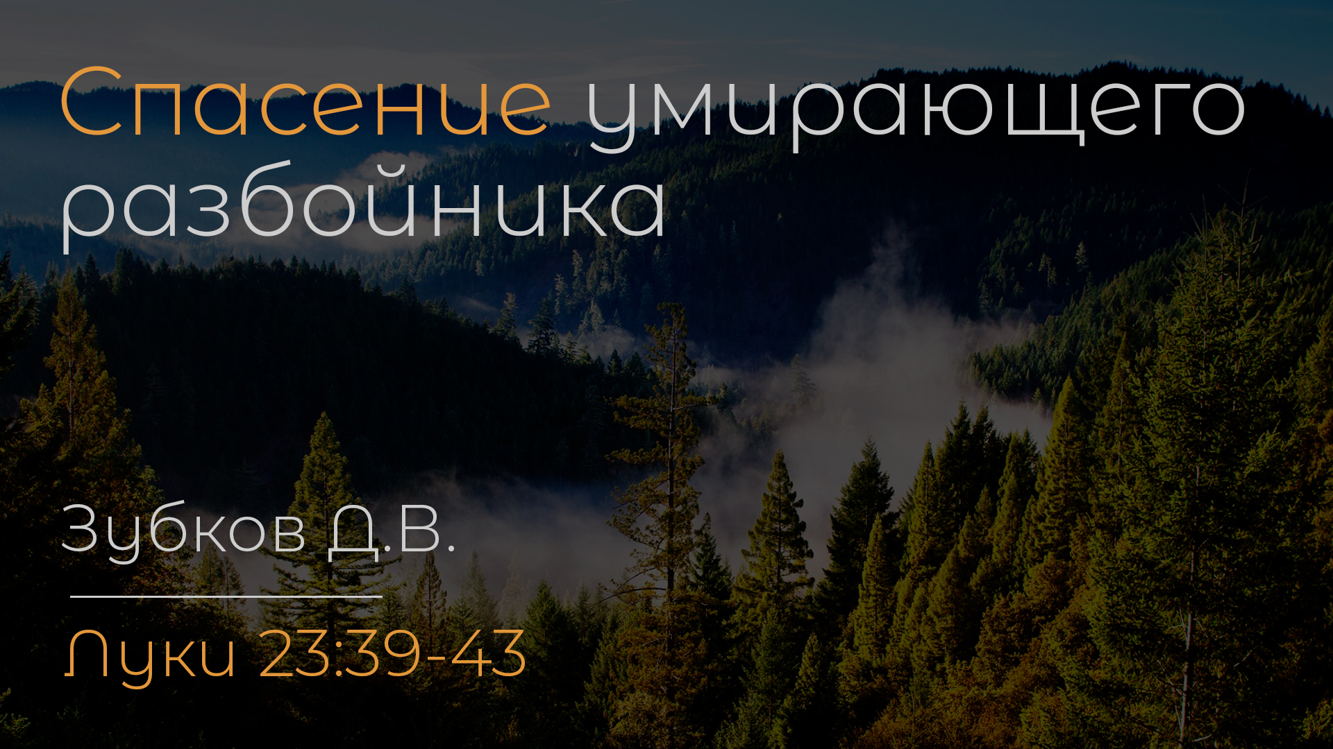 Спасение умирающего разбойника | Зубков Д.В. смотреть онлайн