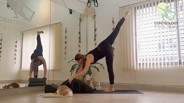 PILATES | SPINE CORRECTOR | PILATES ARC | CPS | 14_01_2023 | MINICLIP 10x смотреть онлайн