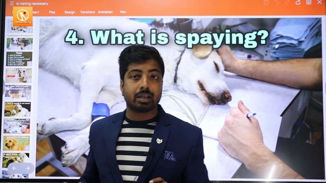 क्या female Dog को cross या mating करवाना जरूरी है? female डॉग है तो जरूर देखें! смотреть онлайн