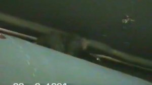 город Ленинск 93-94 г. (БАЙКОНУР)