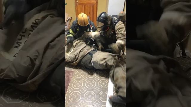 тренировка пожарных при нулевой видимости смотреть онлайн