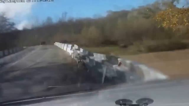 Плывём!!! А куда плывём?! К берегу!!! смотреть онлайн