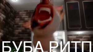 БУБКА РИТП бубня