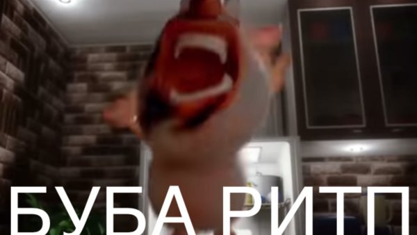 БУБКА РИТП бубня