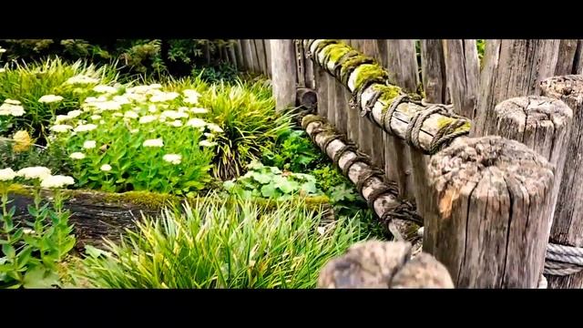 Зоопарк в Кёльне. Часть 1. Zoo Köln