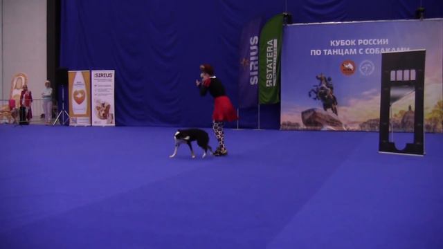 Брыль Елизавета и Бордер колли Follow the Leader Glorious Countess - Мастер Фристайл смотреть онлайн