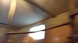 Доильный зал Ёлочка.