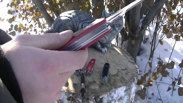 Victorinox мультитул или многофункциональный складной нож? Victorinox for life. смотреть онлайн