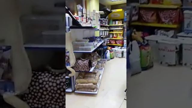 Копия видео "Зоотовары в тц Союз бутик 143.." смотреть онлайн