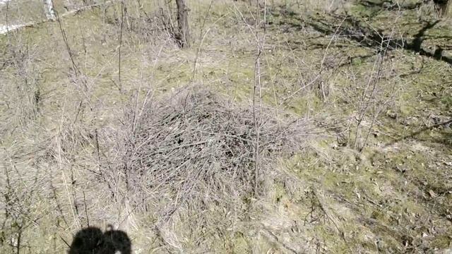 дача родители смотреть онлайн