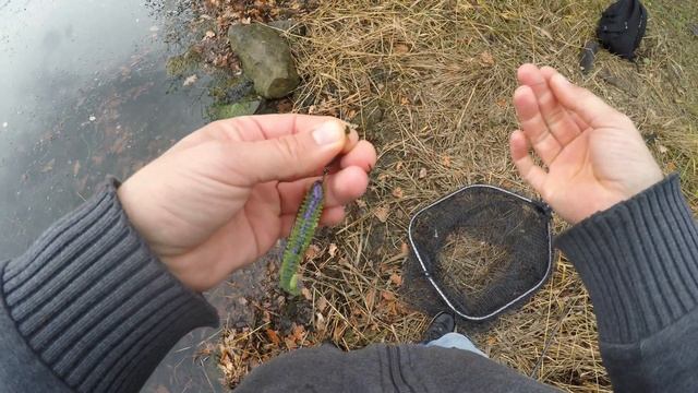 Новое озеро. Рыбалка утром на щуку со спиннингом. Рыбалка на озере первая часть. смотреть онлайн