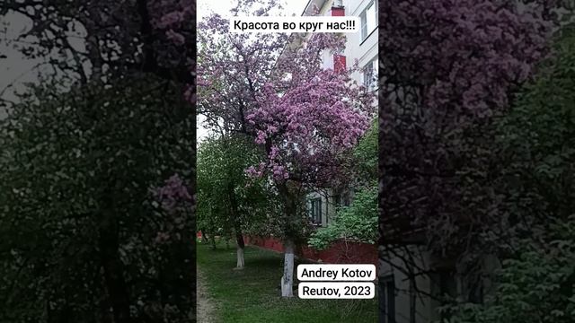 Красота вокруг нас! смотреть онлайн