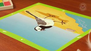 Времена года. Весна 5+ 06 Задания для детей "Трясогузка"