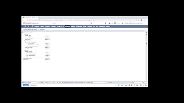 NetSuite Dashboard Walkthrough - User Access by Role смотреть онлайн
