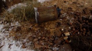 Кормушка для кабана