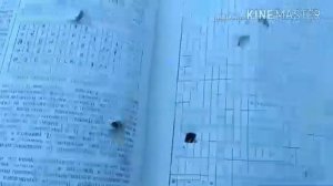 Мелкашка. .22lr энергия пули, пробивная способность разных типов патронов. Часть 1.