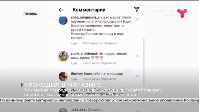 Крокодил в магазине | Тюмень