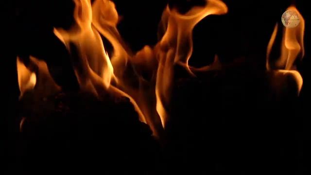Медитация На Огонь 🔥│ Звуки Треска Костра И Природы #1 смотреть онлайн