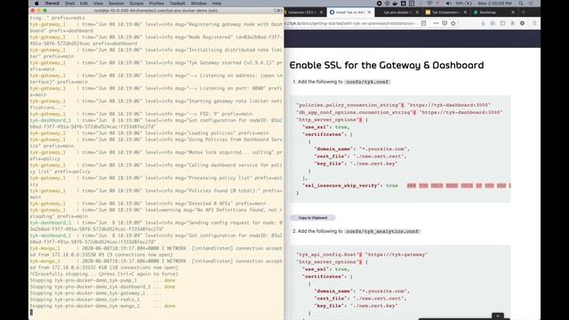 Tyk Pro Setup with SSL смотреть онлайн