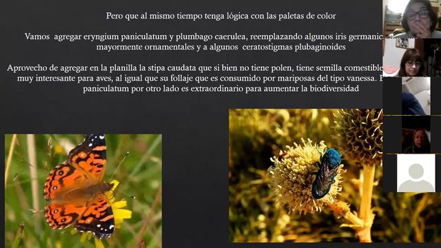 Taller 3 De Paisajismo Sustentable 