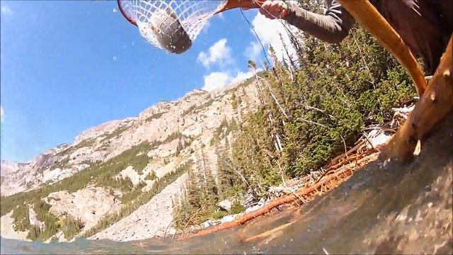 Blue Ribbon Nets Testing - AquaFade смотреть онлайн