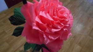 Большая роза из гофрированной бумаги, мастер класс