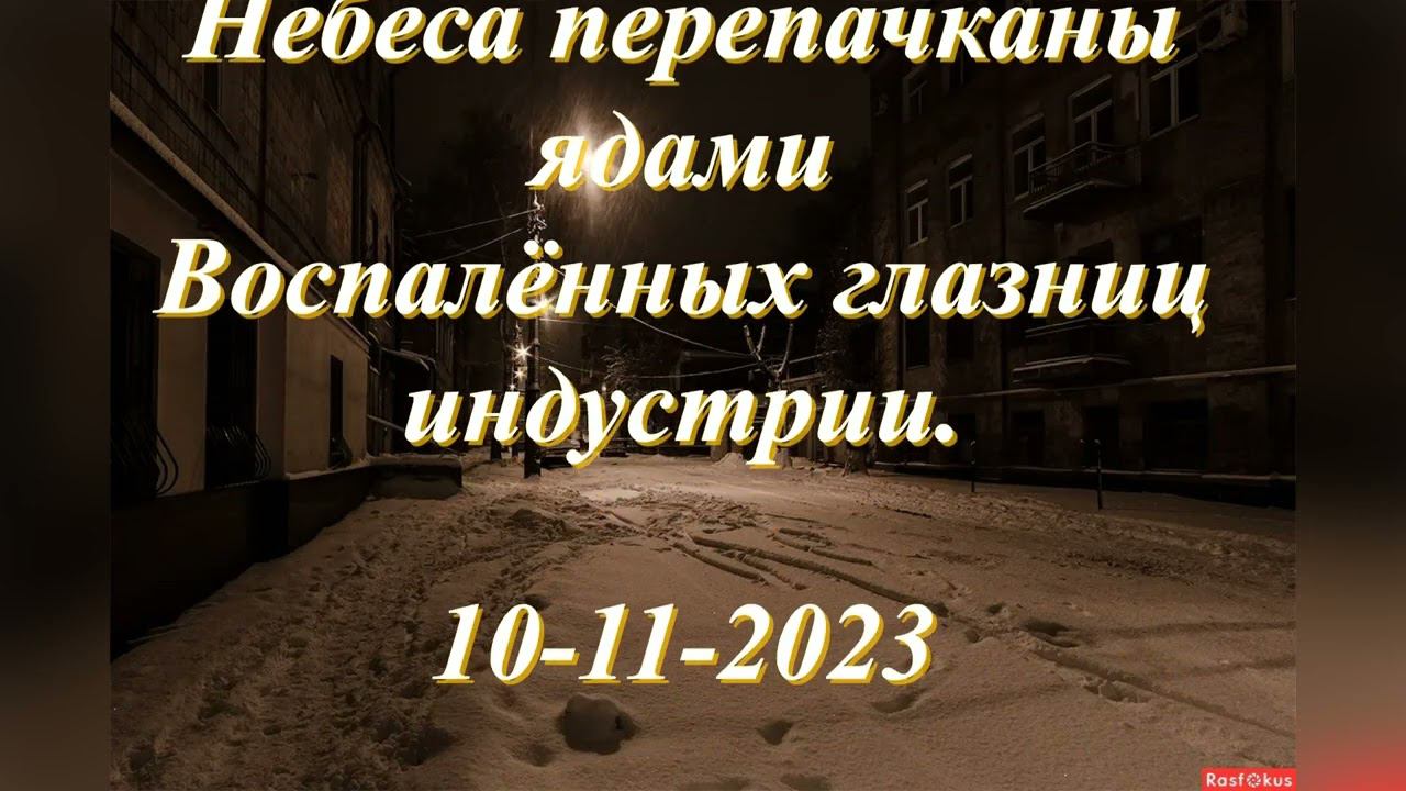 Александр_prof7209_Пертуев