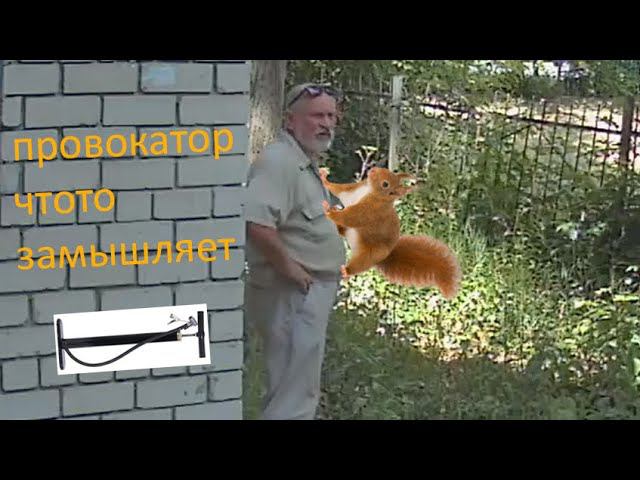 202307041225 провокатор с белочкой смотреть онлайн