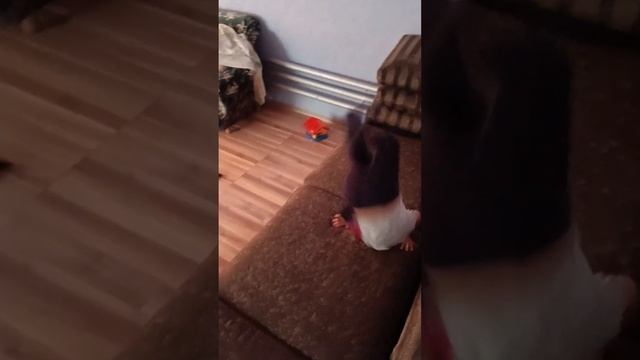 сальто мы стараемся для вас смотреть онлайн