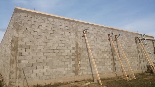 Катумские овцы ч. 13