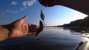 Колебалка Питер | Ловля щуки на водохранилище.