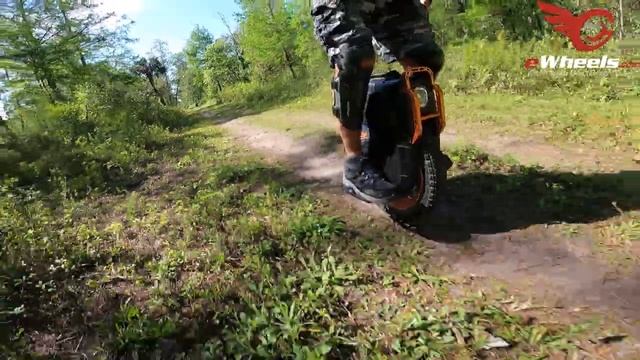 Inmotion V13 Comes Face to Face With an Alligator! смотреть онлайн