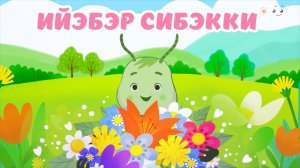 Ийэбэр сибэкки