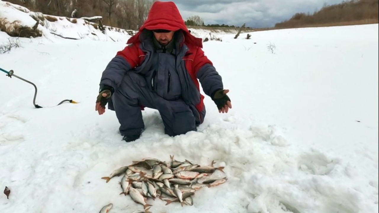 ЕХАЛ ЗА ЩУКОЙ , А НАЛОВИЛ !!! Рыбалка на Оби ( Сузун ) 14 января 2024г. смотреть онлайн