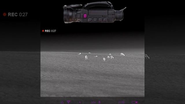 Insider Exclusive: Field Testing The Pulsar Helion 2 PRO AF Series