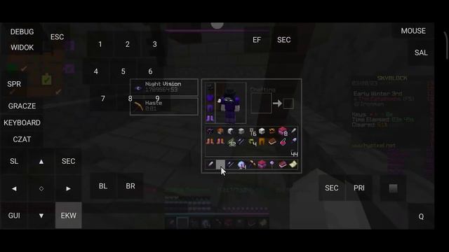 A MOBILE Dungeons Run?? (Hypixel Skyblock Run Reviews) смотреть онлайн