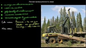 §365 Лесная промышленность мира