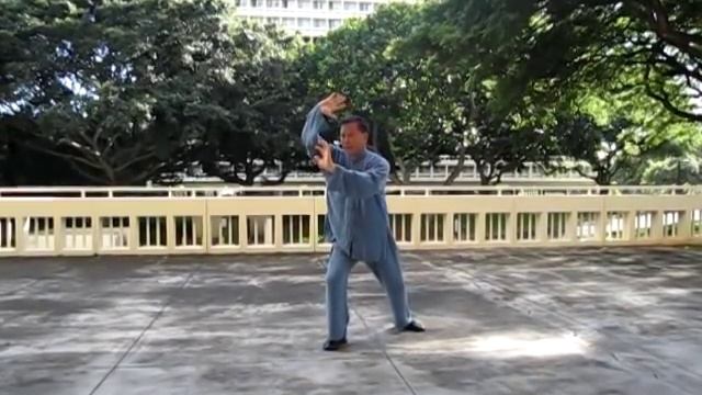 Hao Style Taichi by Master Dong 董增辰師父示範郝式太極 смотреть онлайн