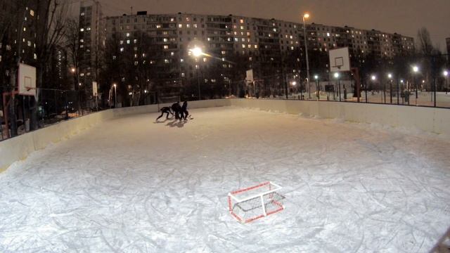 16.01.2023 Дворовый хоккей (Зябликово, Москва) смотреть онлайн
