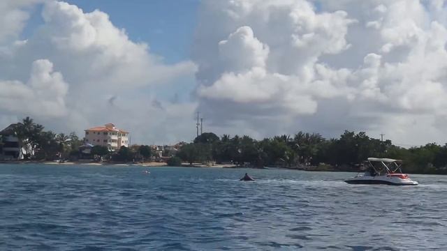 Водяной смотреть онлайн