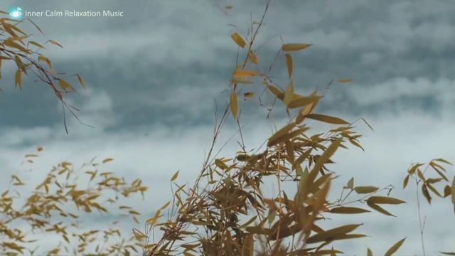 #Inner Calm Beautiful Peaceful Sleep Relax #Guitar Music смотреть онлайн