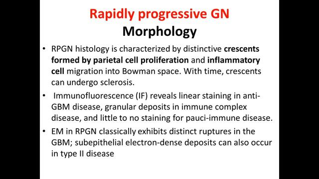 Kidney pathology смотреть онлайн