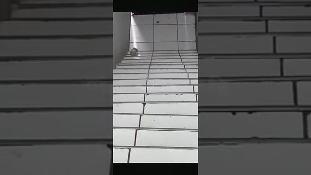 Разбил бутылки по лестнице на 1000$ смотреть онлайн