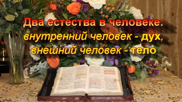 137. О свойствах духа. Часть 1.Человек имеет два естества: тело и дух. смотреть онлайн