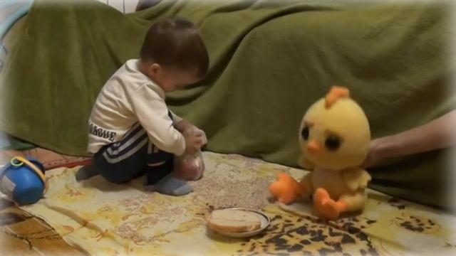 Чем кормить птиц зимой. Кормушка. Видео для детей смотреть онлайн