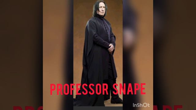Hogwarts Professors Patronus смотреть онлайн