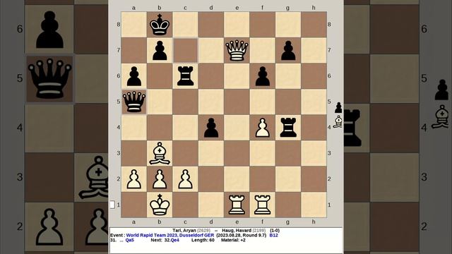 Tari, Aryan vs Haug, Havard | World Rapid Team Chess 2023, Dusseldorf Germany смотреть онлайн