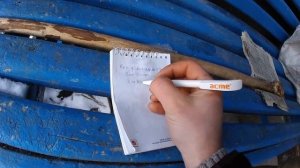 Осложнения после кастрации у поросёнка.