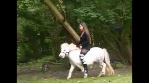 Indonesian girls ride part 1